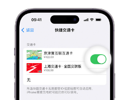 马尔康apple维修点分享iPhone上更换Apple Pay快捷交通卡手绘卡面 