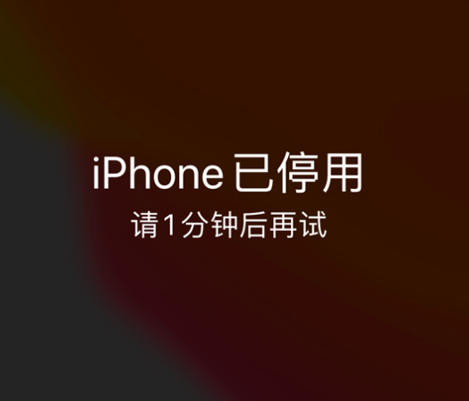 马尔康苹果手机维修分享:iPhone 显示“不可用”或“已停用”怎么办？还能保留数据吗？ 