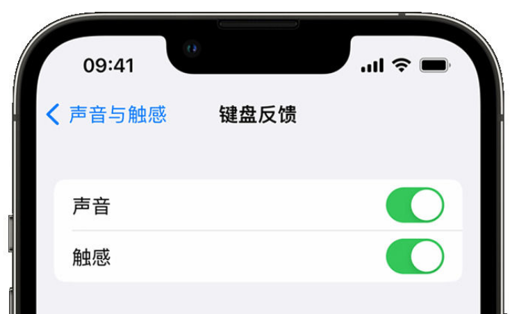 马尔康苹果手机维修分享iPhone 14触感键盘使用方法 