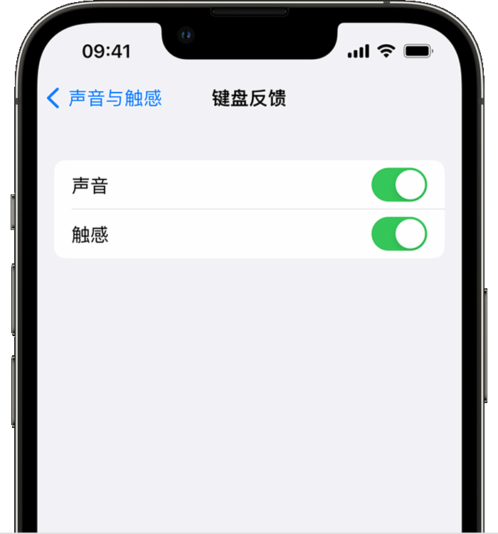 马尔康苹果14维修店分享如何在 iPhone 14 机型中使用触感键盘 