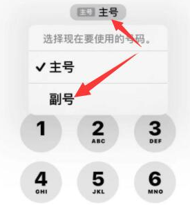 马尔康苹果14维修店分享iPhone 14 Pro Max使用副卡打电话的方法 