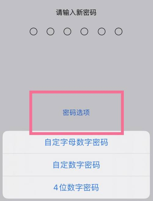 马尔康苹果14维修分享iPhone 14plus设置密码的方法 