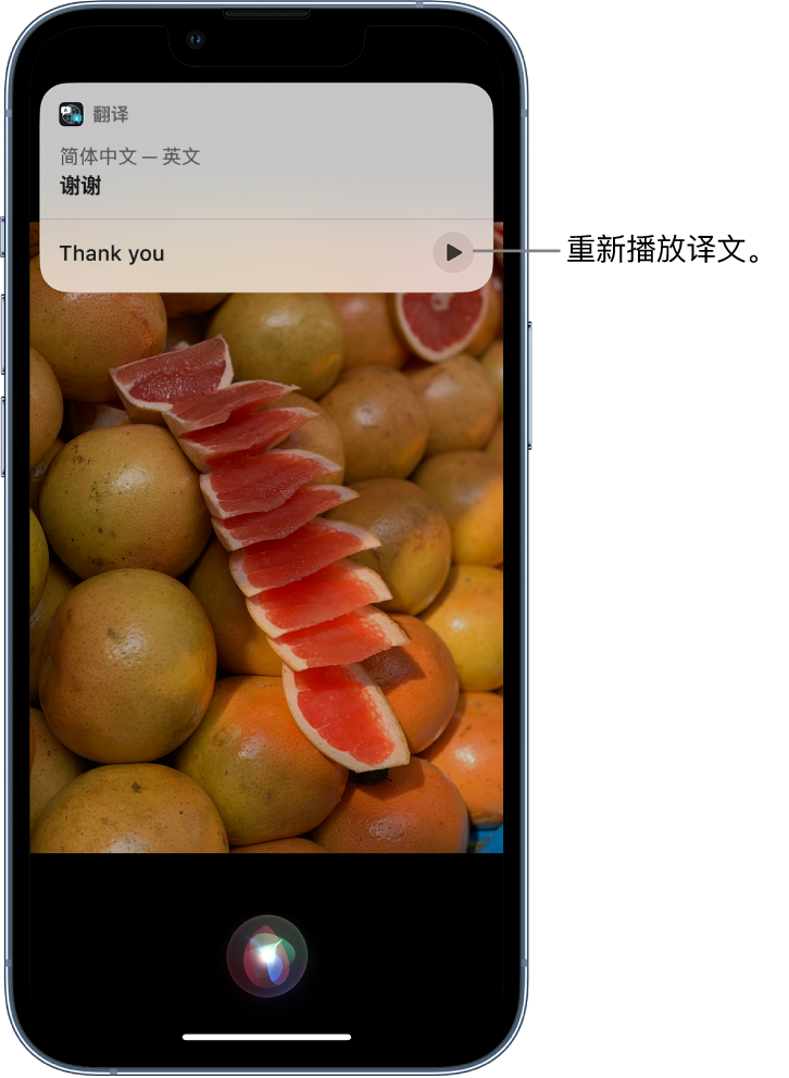 马尔康苹果14维修分享 iPhone 14 机型中使用 Siri：了解 Siri 能帮你做什么 