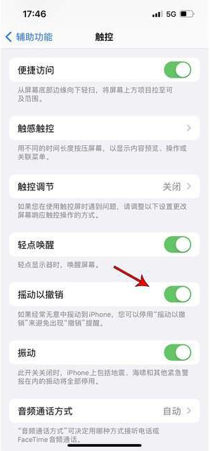 马尔康苹果手机维修分享iPhone手机如何设置摇一摇删除文字 